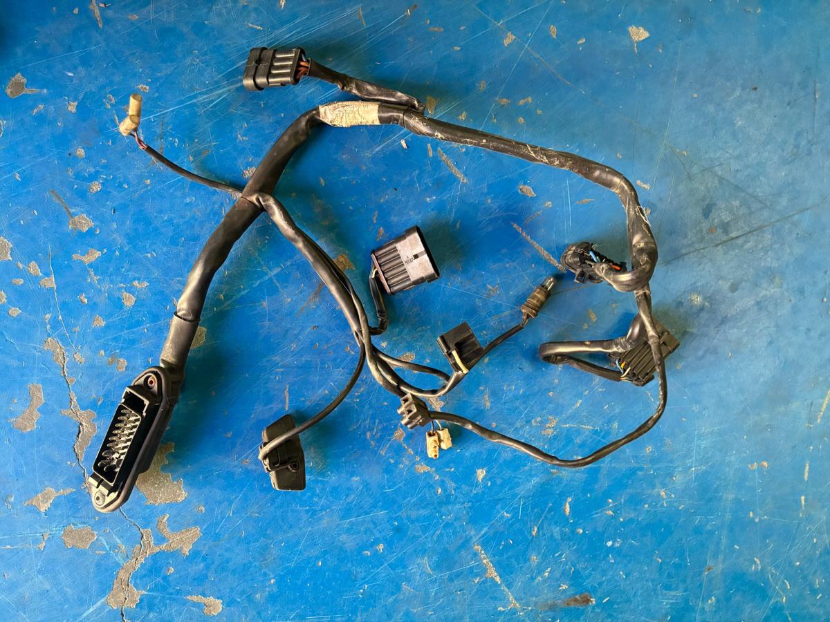 Instalacion electrica faros Ducati 750 SS 1999-2007 (750SS)