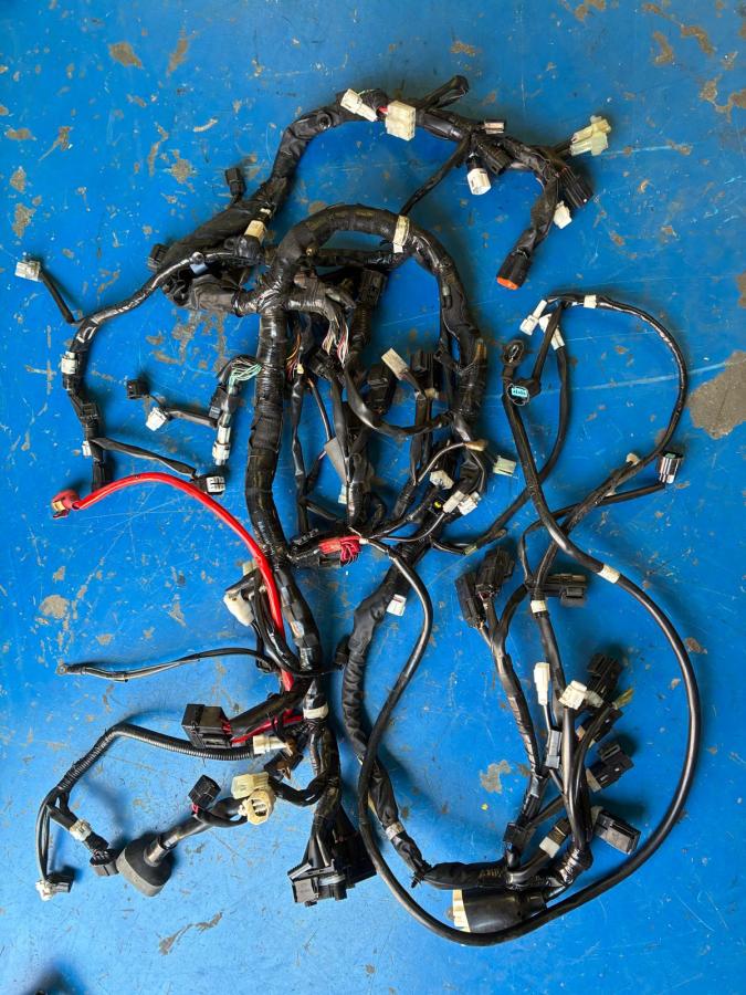 31093 TMAX 530 BC3  (24)