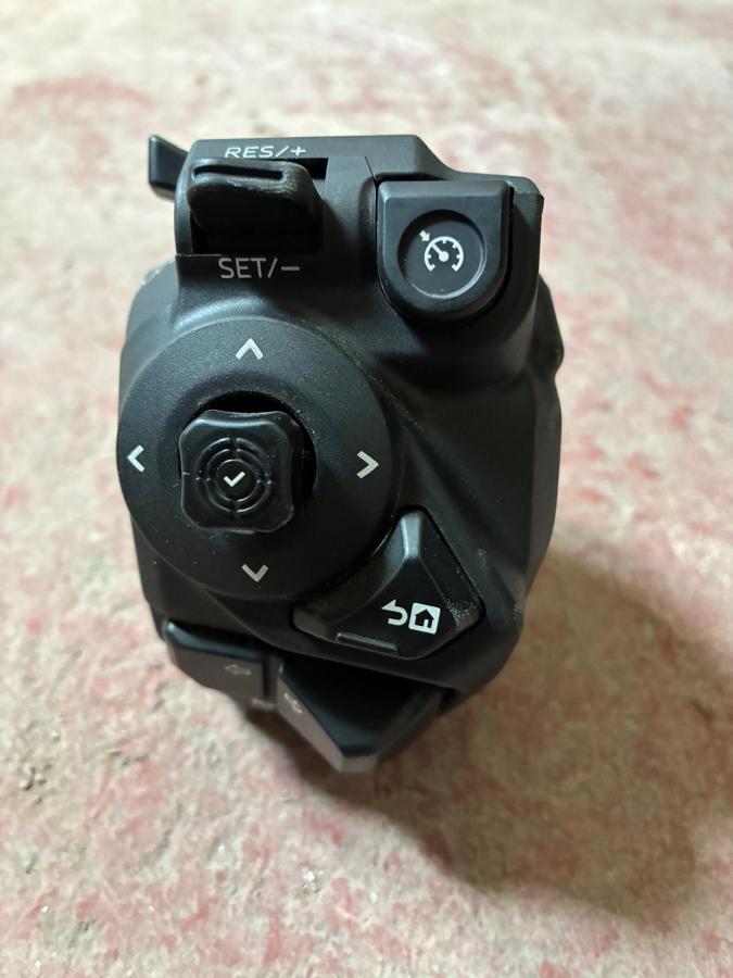 31136 MT09 SP  (9)