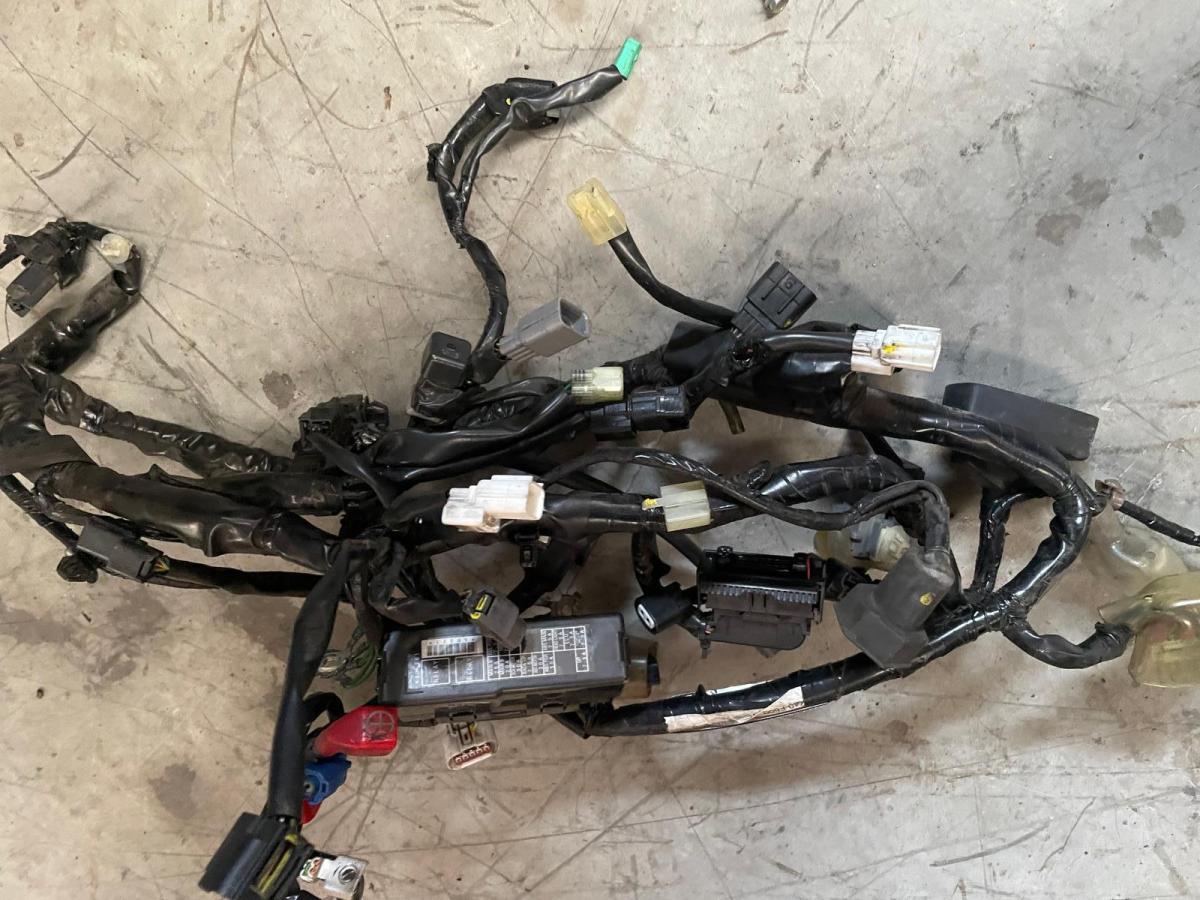 Instalacion electrica Forza 125 2018-2020 ABS