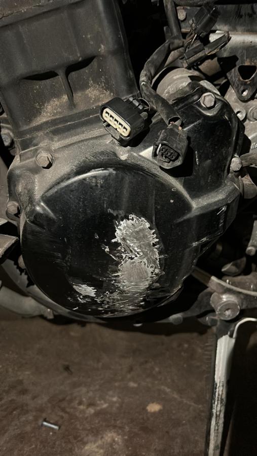 Tapa estator GSXF 650 Bandit alternador