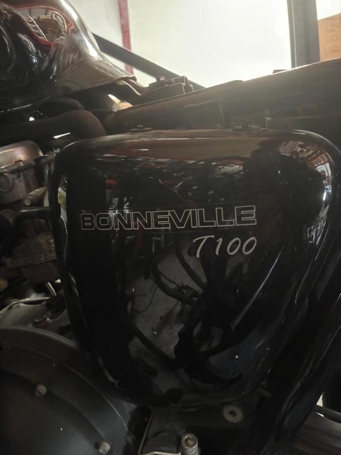 Tapa lateral medio izquierda Triumph Bonneville T100