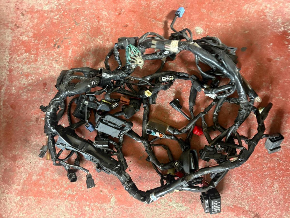 Instalacion electrica Africa Twin 1000 CRF Honda