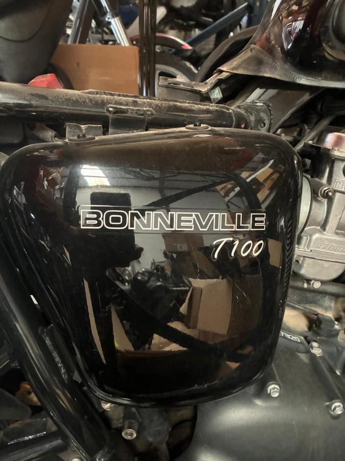 Tapa lateral medio derecha Triumph Bonneville T100