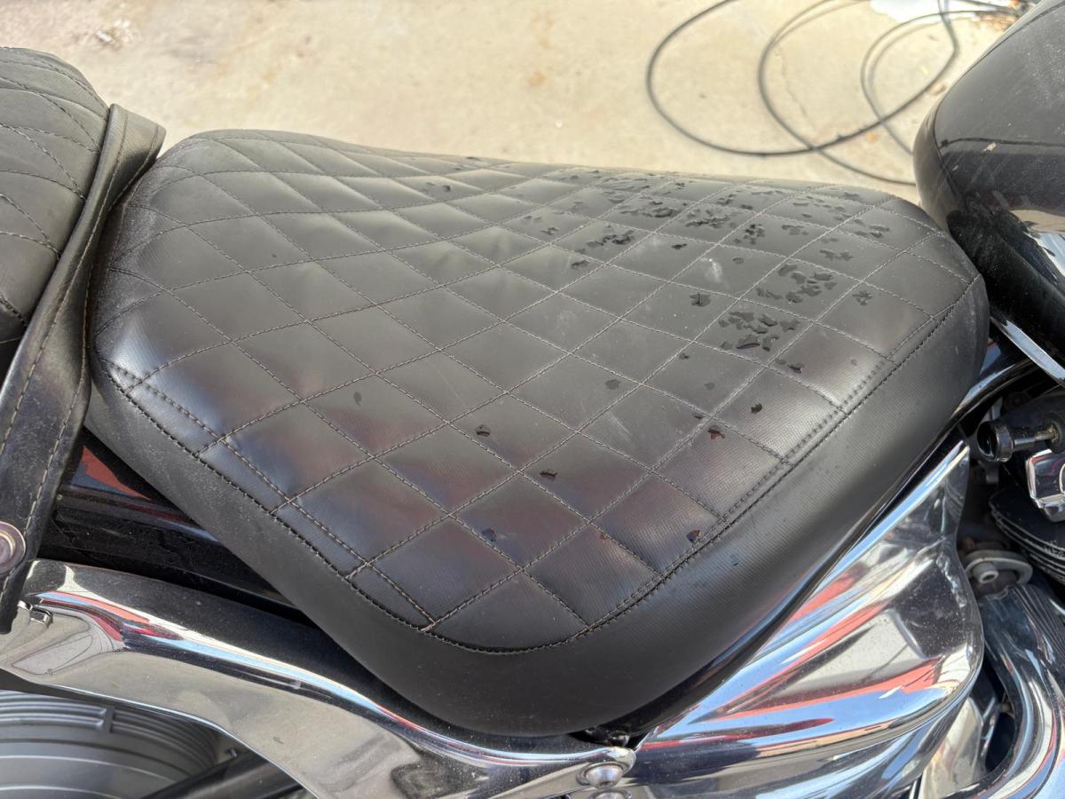Asiento delantero Dragstar 650 confort